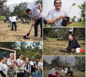 Tangancícuaro se suma a la jornada estatal de reforestación “10 millones de árboles, Sembramos el Futuro”.