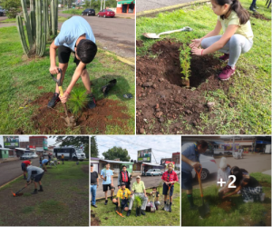 BOY SCOUTS, PLANTAN 50 ARBOLITOS EN EL ACCESO SUR DE JACONA