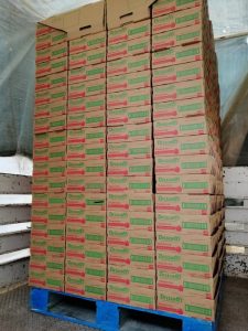 LOS ARANCELES DEL “LIBRE COMERCIO”…AHORA CONTRA LA FRESA
