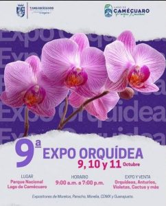 ¡Vive la magia de la 9ª Expo Orquídea!