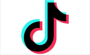 De Tik Tok, la mayoría de las 800 páginas de redes sociales que el Gobierno ha bajado por contenidos violentos